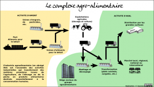 le système agro-alimentaire