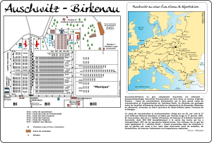 auschwitz_synthese